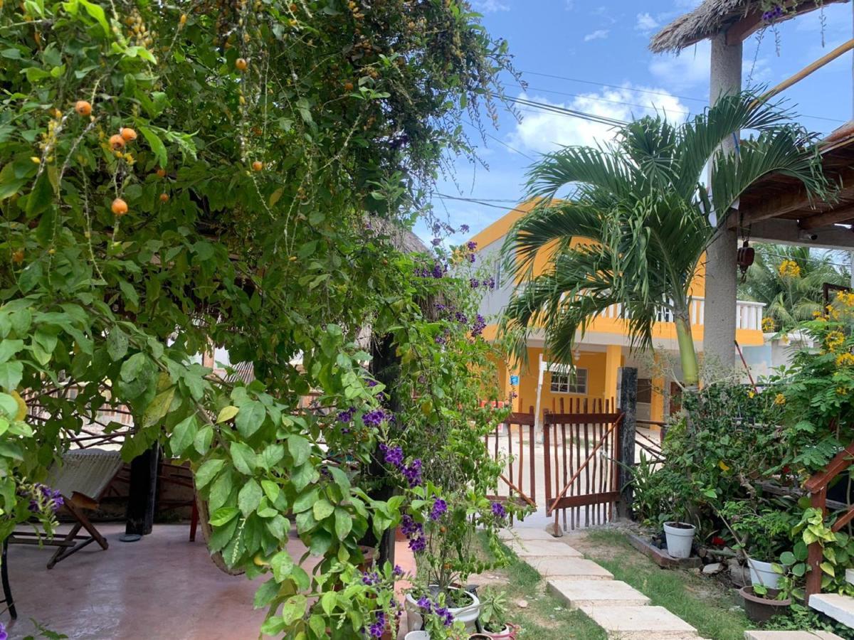 Don Panchon Y Maruxa Hotel Ilha Holbox Exterior foto